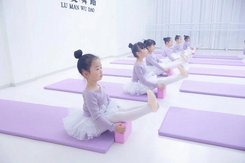 北京舞蹈工作室：舞动京城的艺术之光